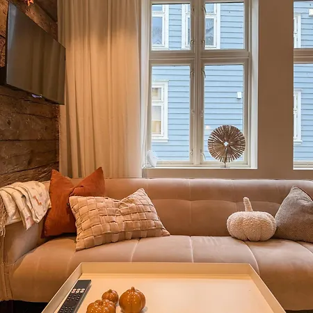 Historic Bergen House With 2 Separate Apartments On A Quiet Pedestrian Lane - Free Parking * Bergen